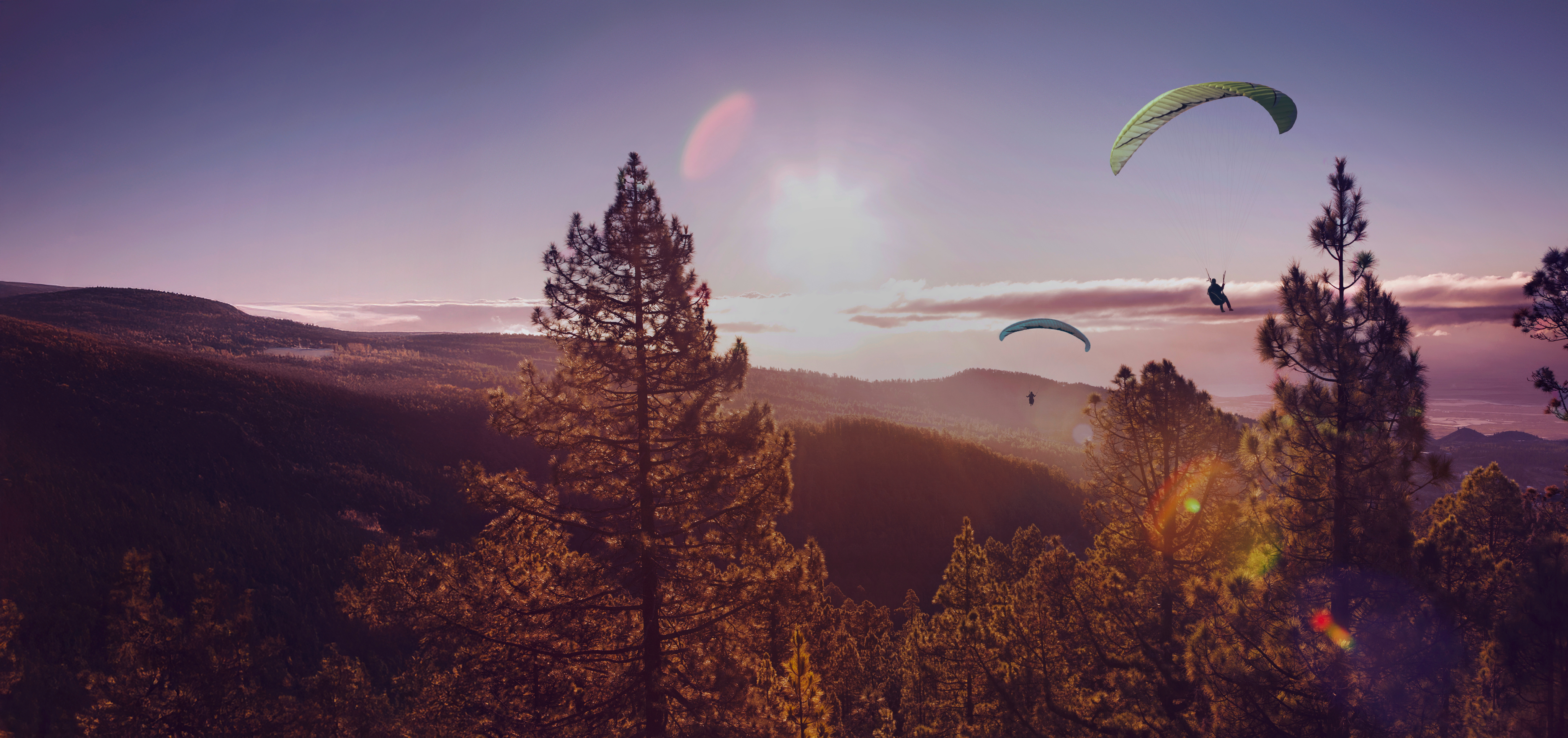 Paragliders flying over a sunlit forest valley.